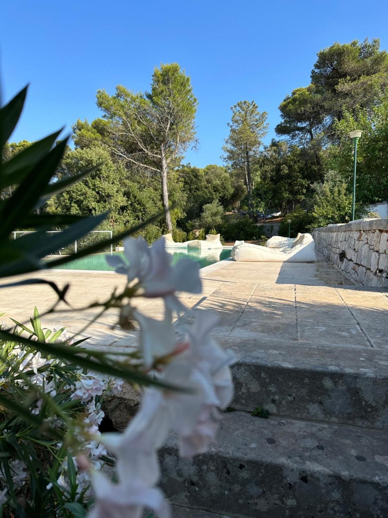 Bed and Breakfast Il Trullo Di Simona à Locorotondo Extérieur photo