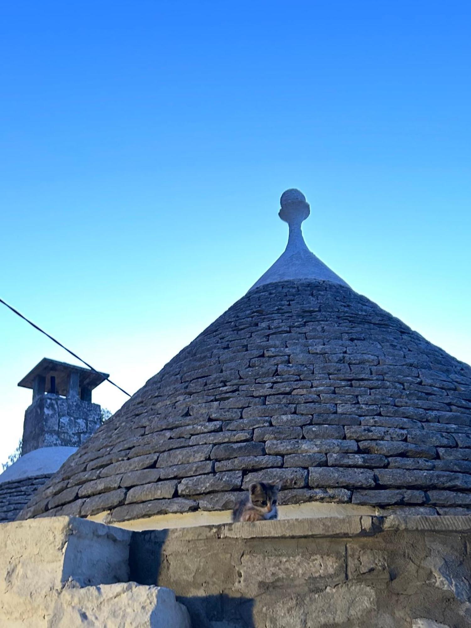 Bed and Breakfast Il Trullo Di Simona à Locorotondo Extérieur photo